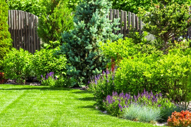 Wellness Blooms Here A Garden-Based Healing Journey